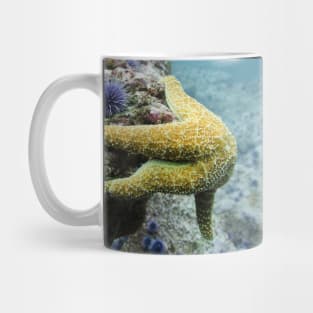 Starfish Underwater Mug